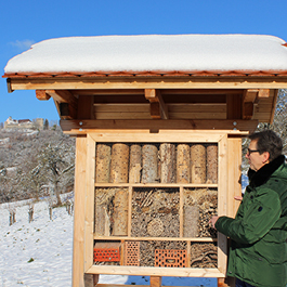 Bienenstock